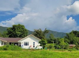 3 Schlafzimmer Haus zu verkaufen in Mae On, Chiang Mai, On Klang