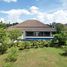 3 Schlafzimmer Haus zu verkaufen in Saraphi, Chiang Mai, Yang Noeng, Saraphi