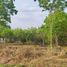  Land for sale in Mueang Nong Bua Lam Phu, Nong Bua Lam Phu, Na Mafueang, Mueang Nong Bua Lam Phu