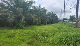 N/A Land for sale in Tak Daet, Phangnga 