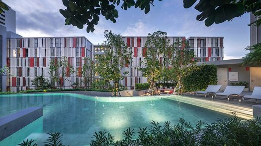 Фото 1 of the Communal Pool at Taka Haus