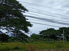  Land for sale in Phu Kradueng, Phu Kradueng, Phu Kradueng