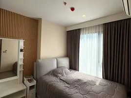 คอนโด 1 ห้องนอน ให้เช่า ในโครงการ ไลฟ์ อโศก ไฮป์, มักกะสัน