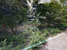  Land for sale in Benchalak, Si Sa Ket, Siao, Benchalak