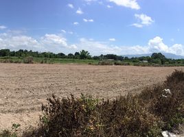  Land for sale in Pa Phai, San Sai, Pa Phai