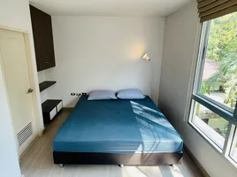 2 Schlafzimmer Wohnung zu vermieten im Tree Condo Sukhumvit 42, Phra Khanong