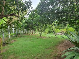  Земельный участок for sale in Накхон Ратчасима, Khanong Phra, Pak Chong, Накхон Ратчасима