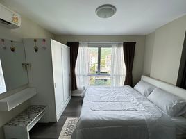 1 Schlafzimmer Wohnung zu vermieten im D Condo Mine, Kathu