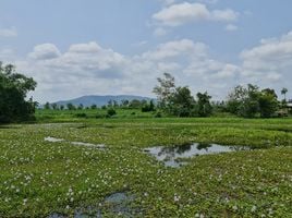  Grundstück zu verkaufen in Huai Sak, Chiang Rai, Huai Sak, Mueang Chiang Rai, Chiang Rai, Thailand