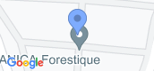 地图概览 of Botanica Forestique