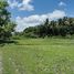  Land for sale in Sumba Barat, East Nusa Tenggara, Sumba Barat