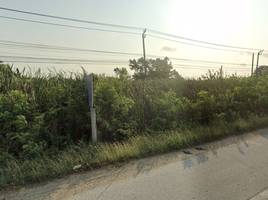  Land for sale in Nonthaburi, Rat Niyom, Sai Noi, Nonthaburi