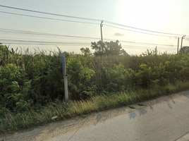  Land for sale in MRT Station, Nonthaburi, Rat Niyom, Sai Noi, Nonthaburi