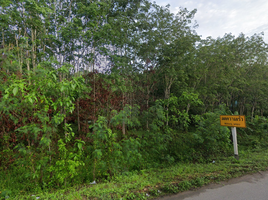  Land for sale in Chumphon, Hat Phan Krai, Mueang Chumphon, Chumphon