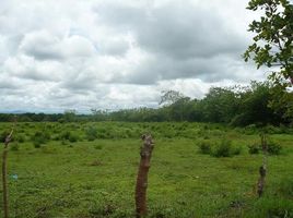  Land for sale in El Retiro, Anton, El Retiro