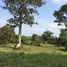  Land for sale in Cambodia, Banteay Srei, Siem Reap, Cambodia