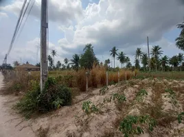  Land for sale in Bira Circuit, Pong, Pong