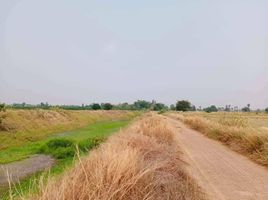  Grundstück zu verkaufen in Doem Bang Nang Buat, Suphan Buri, Nong Krathum