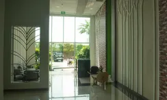 รูปถ่าย 3 of the Reception / Lobby Area at อเมซอน เรสซิเด้นซ์