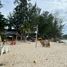  Shophaus zu vermieten in Surin Beach, Choeng Thale, Choeng Thale