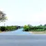  Land for sale in Nong Pho, Suphan Buri, Nong Pho, Nong Ya Sai, Suphan Buri