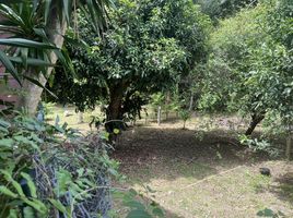 15 Bedroom Hotel for sale in Lipa Noi, Surat Thani, Lipa Noi
