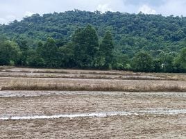  Grundstück zu verkaufen in Kaeng Khoi, Saraburi, Tha Maprang, Kaeng Khoi