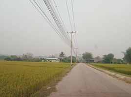  Grundstück zu verkaufen in San Sai, Chiang Mai, Mae Faek Mai, San Sai