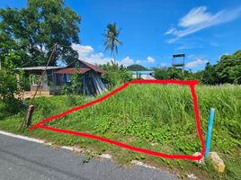  Land for sale in Phuket Town, Phuket, Ratsada, Phuket Town