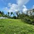  Land for sale in Ang Thong, Koh Samui, Ang Thong