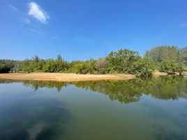 ขายที่ดิน ใน ตะกั่วทุ่ง พังงา, โคกกลอย