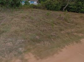  Land for sale in Ubon Ratchathani, Kham Yai, Mueang Ubon Ratchathani, Ubon Ratchathani
