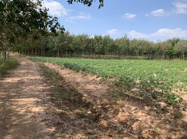  Grundstück zu verkaufen in Sai Mun, Yasothon, Phai