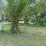  Land for sale in Khok Kloi, Phangnga, Khok Kloi, Takua Thung