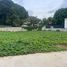  Land for sale in Varee Chiang Mai School, Nong Hoi, Wat Ket