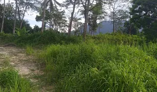 N/A Land for sale in Khao Thong, Krabi 