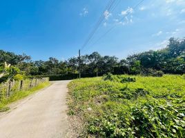  Land for sale in San Sai Luang, San Sai, San Sai Luang