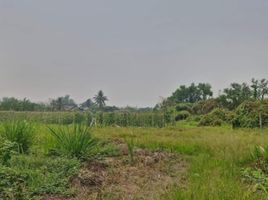  Land for sale in San Pa Tong, Chiang Mai, Thung Satok, San Pa Tong