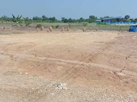  Grundstück zu verkaufen in Nong Suea, Pathum Thani, Bueng Ba, Nong Suea, Pathum Thani