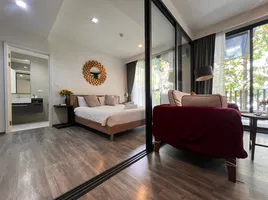 1 Bedroom Condo for rent at The Deck Patong, Patong