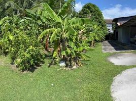  Land for sale in Chalong Pier, Chalong, Chalong