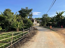  Land for sale in Huai Sai, Mae Rim, Huai Sai