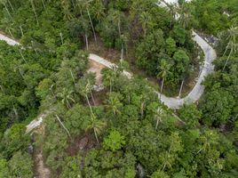  Grundstück zu verkaufen in Koh Samui, Surat Thani, Maret