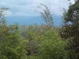  Land for sale at Manuel Antonio, Aguirre, Puntarenas