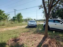  Land for sale in Khon Kaen, Mueang Roi Et, Khon Kaen