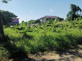  Land for sale in Phu Doi Market, Nong Chom, Nong Chom