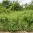  Land for sale in Mueang Phitsanulok, Phitsanulok, Nai Mueang, Mueang Phitsanulok