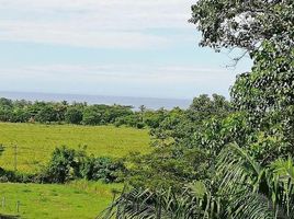  Land for sale in Nandayure, Guanacaste, Nandayure