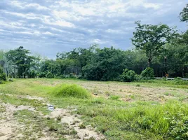  Land for sale in Phuket, Thep Krasattri, Thalang, Phuket