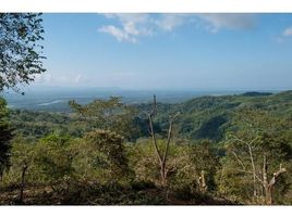  Land for sale in Puntarenas, Osa, Puntarenas